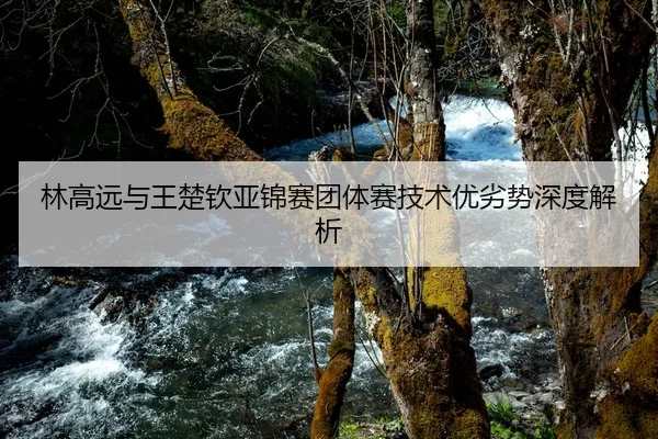 林高远与王楚钦亚锦赛团体赛技术优劣势深度解析 | kaiyun