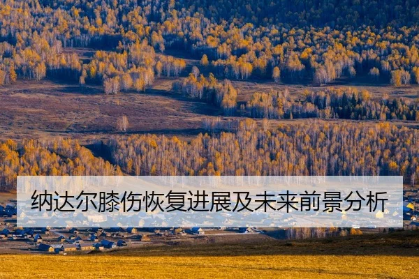 na-da-er-xi-shang-hui-fu-jin-zhan-ji-wei-lai-qian-jing-fen-xi-2-922.jpg